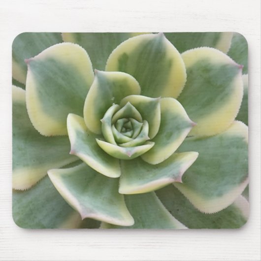 Tapis De Souris Succulent (Devant)