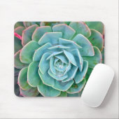 Tapis De Souris Succulent (Avec souris)