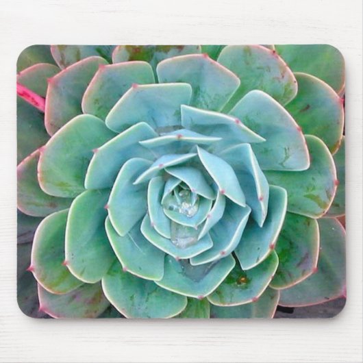 Tapis De Souris Succulent (Devant)