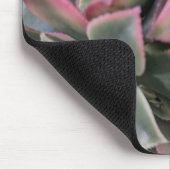 Tapis De Souris Succulent (Coin)