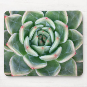 Tapis De Souris Succulent incliné par rouge vert