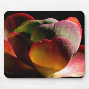 Tapis De Souris Succulent Plante du désert