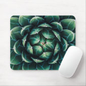 Tapis De Souris Succulent vert et blanc (Avec souris)