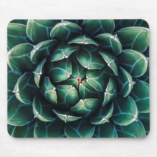 Tapis De Souris Succulent vert et blanc (Devant)