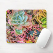 Tapis De Souris Succulents (Avec souris)