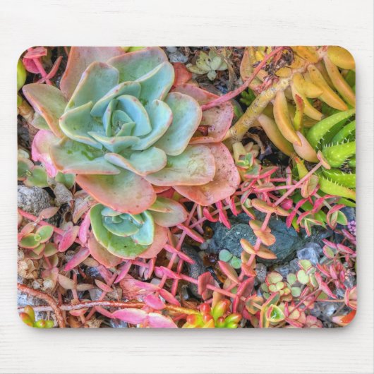 Tapis De Souris Succulents (Devant)