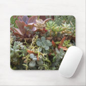 Tapis De Souris Succulents (Avec souris)