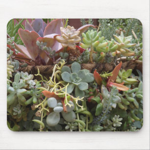 Tapis De Souris Succulents