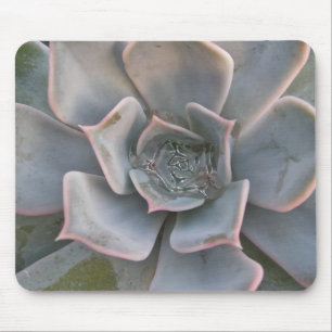 Tapis De Souris Succulents colorés Mousepad #1