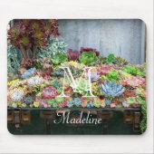 Tapis De Souris Succulents dans la poitrine au trésor (Devant)