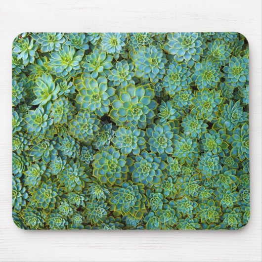Tapis De Souris Succulents - plante Echeveria (Devant)
