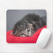 Tapis De Souris Sucré chaton (Avec souris)