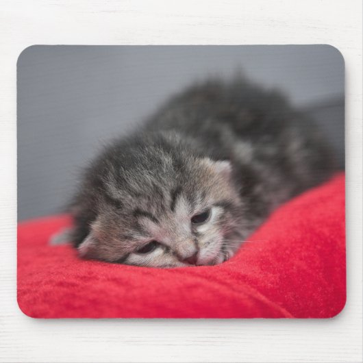 Tapis De Souris Sucré chaton (Devant)