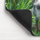 Tapis De Souris Suivez Le Leader (Coin)