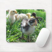 Tapis De Souris Suivez Le Leader (Avec souris)