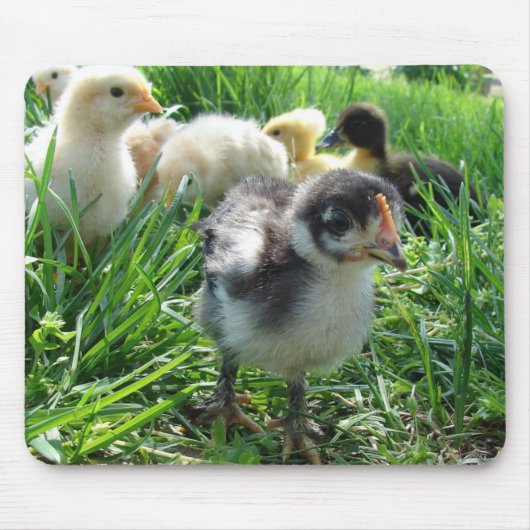 Tapis De Souris Suivez Le Leader (Devant)