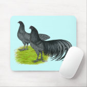 Tapis De Souris Sumatra : Paire bleue (Avec souris)