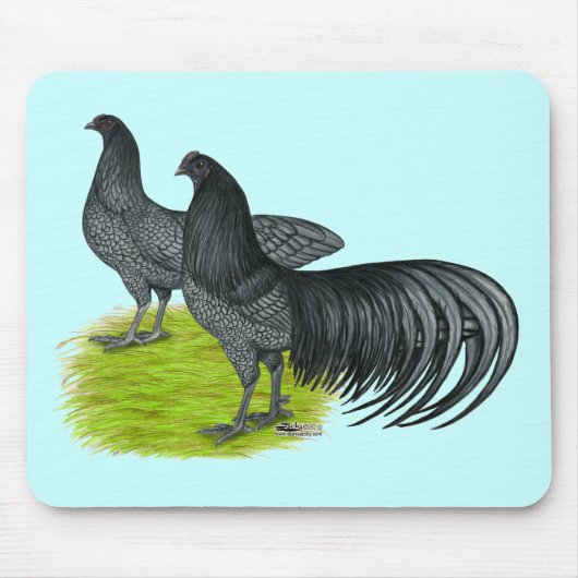 Tapis De Souris Sumatra : Paire bleue (Devant)