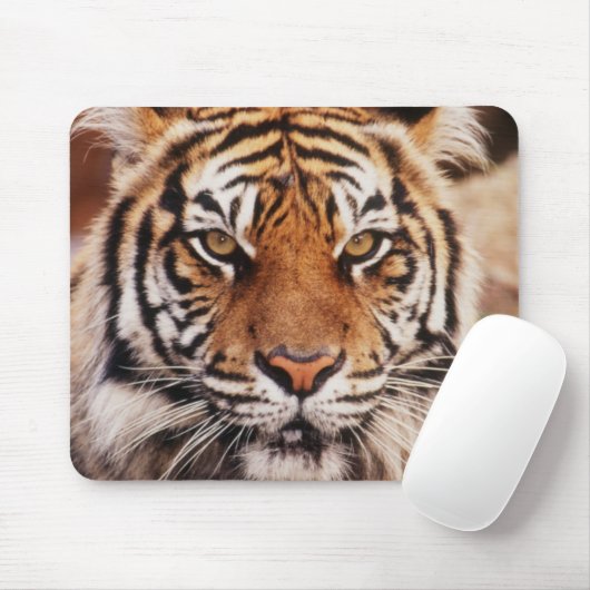 Tapis De Souris Sumatran Tiger (Avec souris)