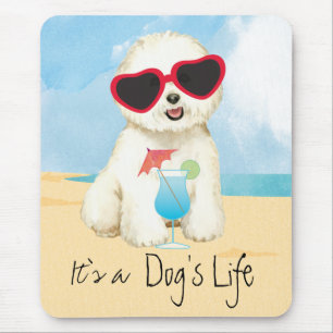 Tapis De Souris Summer Bichon Frise