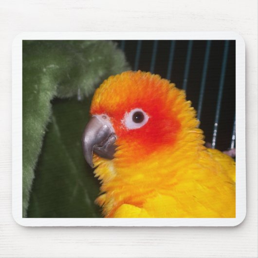 Tapis De Souris Sun Conure (Devant)