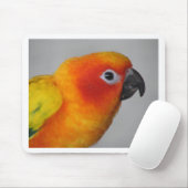 Tapis De Souris Sun Conure (Avec souris)