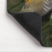 Tapis De Souris Sun Conures (Coin)