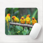 Tapis De Souris Sun Conures (Avec souris)