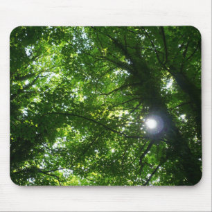 Tapis De Souris Sun dans les arbres