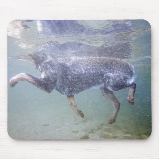 Tapis De Souris Sun Valley, Idaho, États-Unis. (Devant)