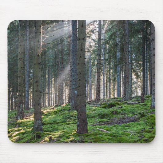 Tapis De Souris Sunbeams dans la Forêt-Noire (Devant)