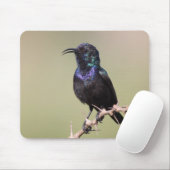 Tapis De Souris Sunbird (Avec souris)