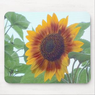Tapis De Souris Sunflower in a Pale Blue Sky ---