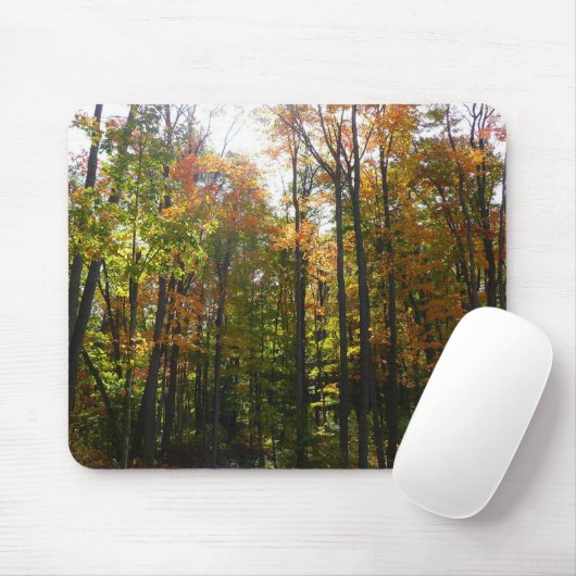 Tapis De Souris Sunlit Fall Forest Paysage d'automne (Avec souris)