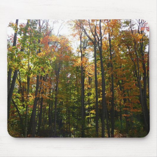 Tapis De Souris Sunlit Fall Forest Paysage d'automne (Devant)