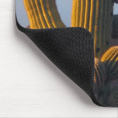 Tapis De Souris Sunlit Saguaro Cactus - Mousepad (Coin)