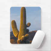 Tapis De Souris Sunlit Saguaro Cactus - Mousepad (Avec souris)