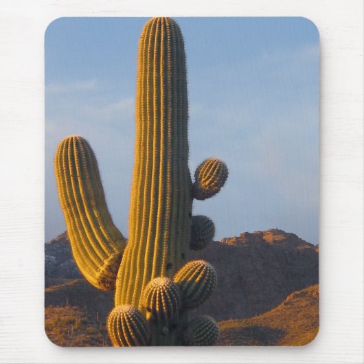 Tapis De Souris Sunlit Saguaro Cactus - Mousepad (Devant)
