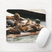 Tapis De Souris Sunning Lions à San Francisco (Avec souris)