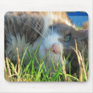 Tapis De Souris Sunny Cat est Sunny