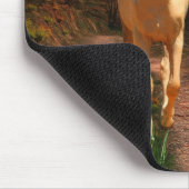 Tapis De Souris Sunset palomino (Coin)