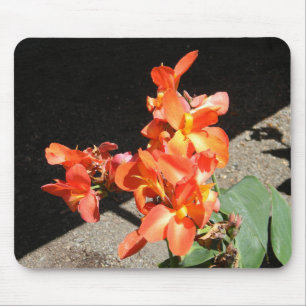 Tapis De Souris Sunshine Love...