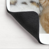 Tapis De Souris Super mignon Ginger Sleeping Kitten (Coin)