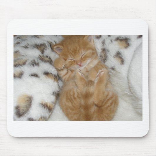 Tapis De Souris Super mignon Ginger Sleeping Kitten (Devant)