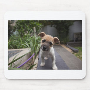Tapis De Souris Super mignonne chiot Terrier à la frontière