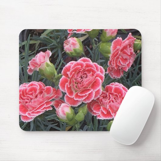 Tapis De Souris Superbe Dianthus (Avec souris)