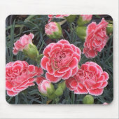 Tapis De Souris Superbe Dianthus (Devant)