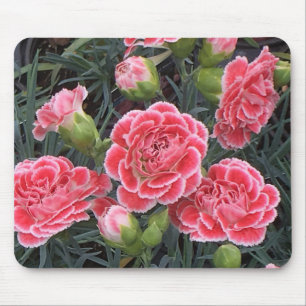 Tapis De Souris Superbe Dianthus