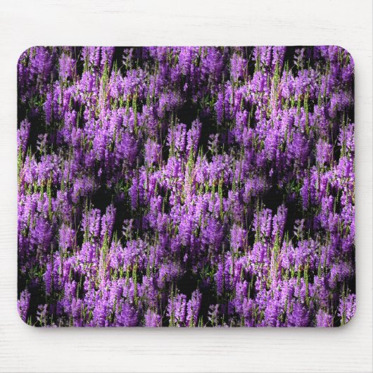 Tapis De Souris Sur le terrain... (Devant)