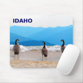 Tapis De Souris SURF ! - Oies (Avec souris)